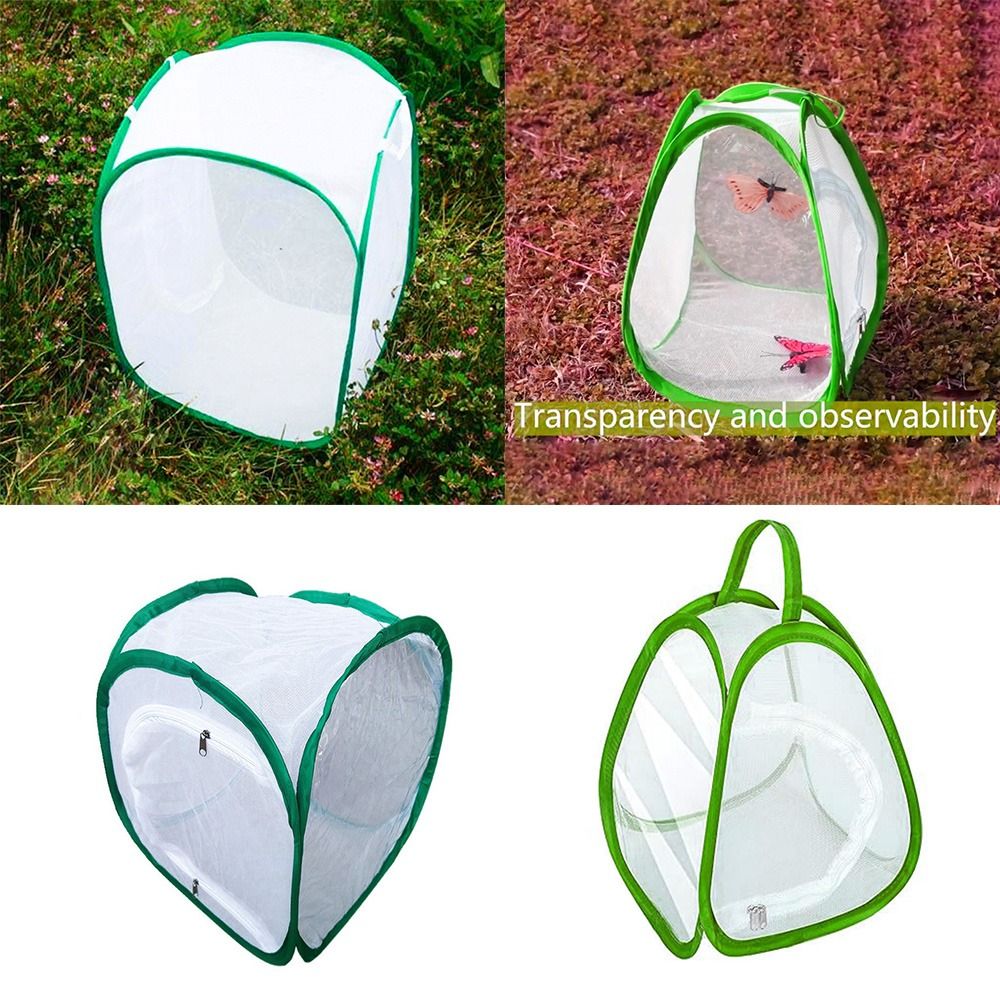 Green Screen Collapsible - Gabbia per insetti pieghevole verde con