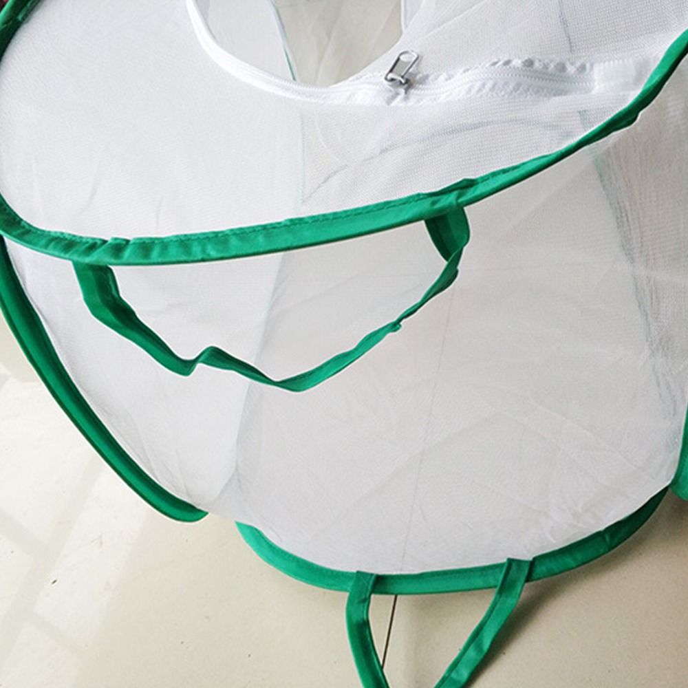 Gabbia per insetti pieghevole  - Green Screen Collapsible recensione e prezzo